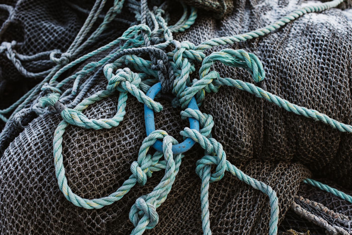 Nät och linor